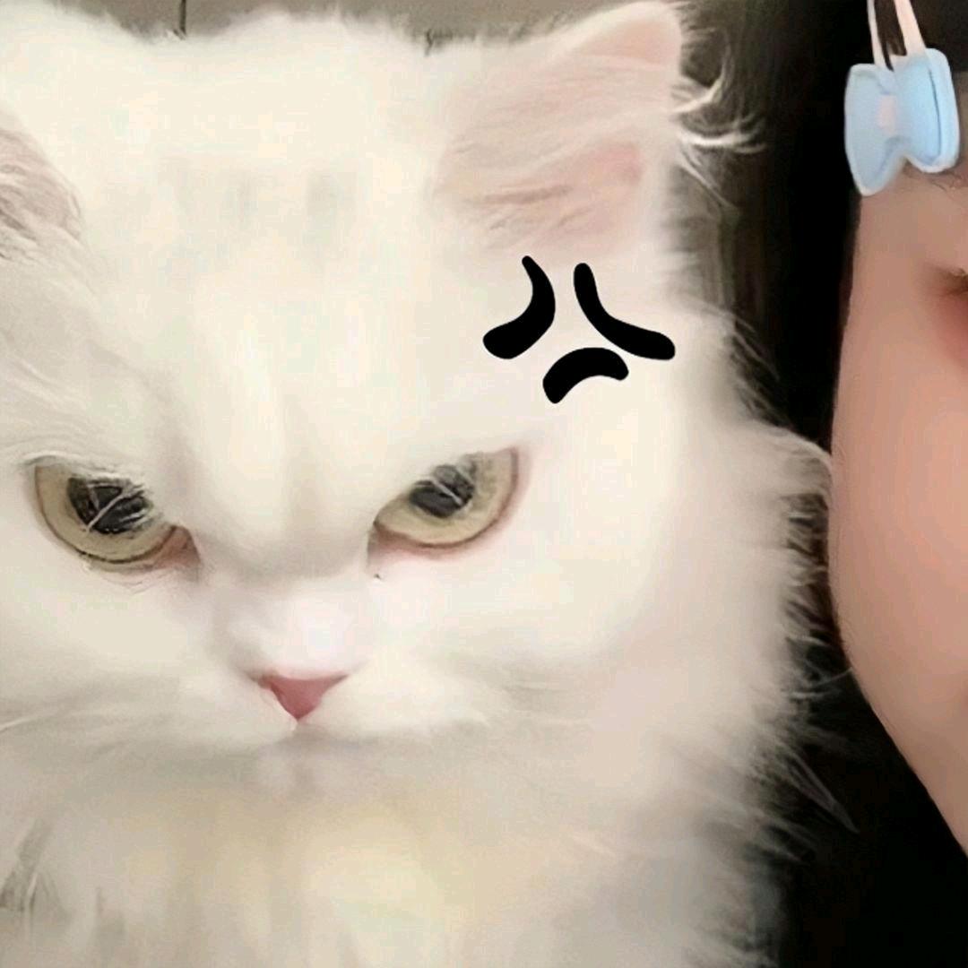 森