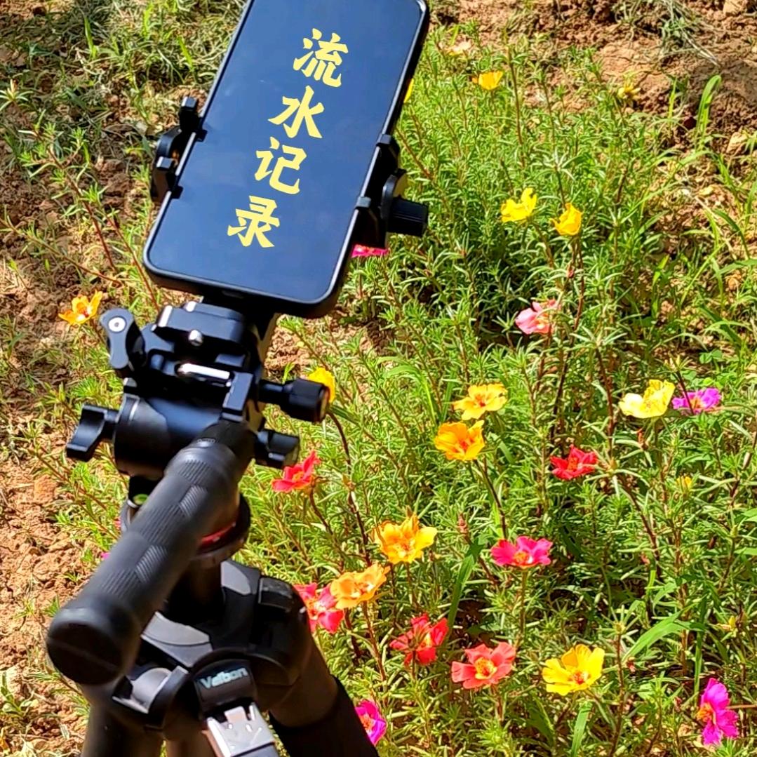 功夫
