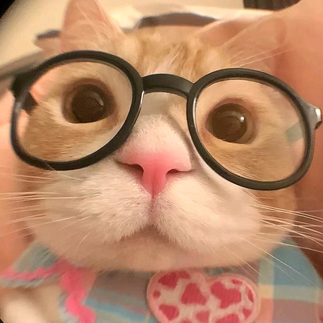 亿僖