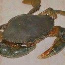 两个孩子的妈✺◟(∗❛ัᴗ❛ั∗)◞✺