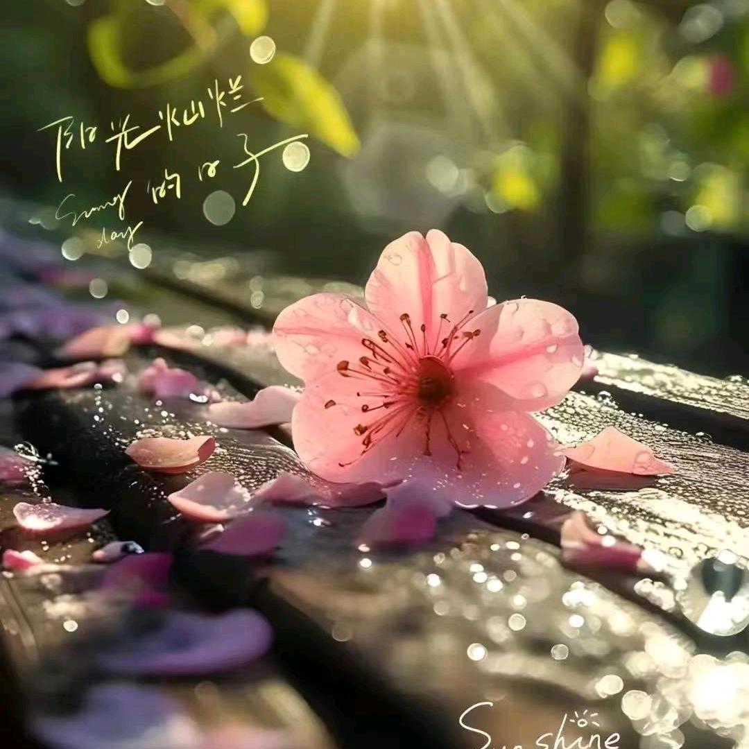 ぺ❤️㞮孞💦ξ