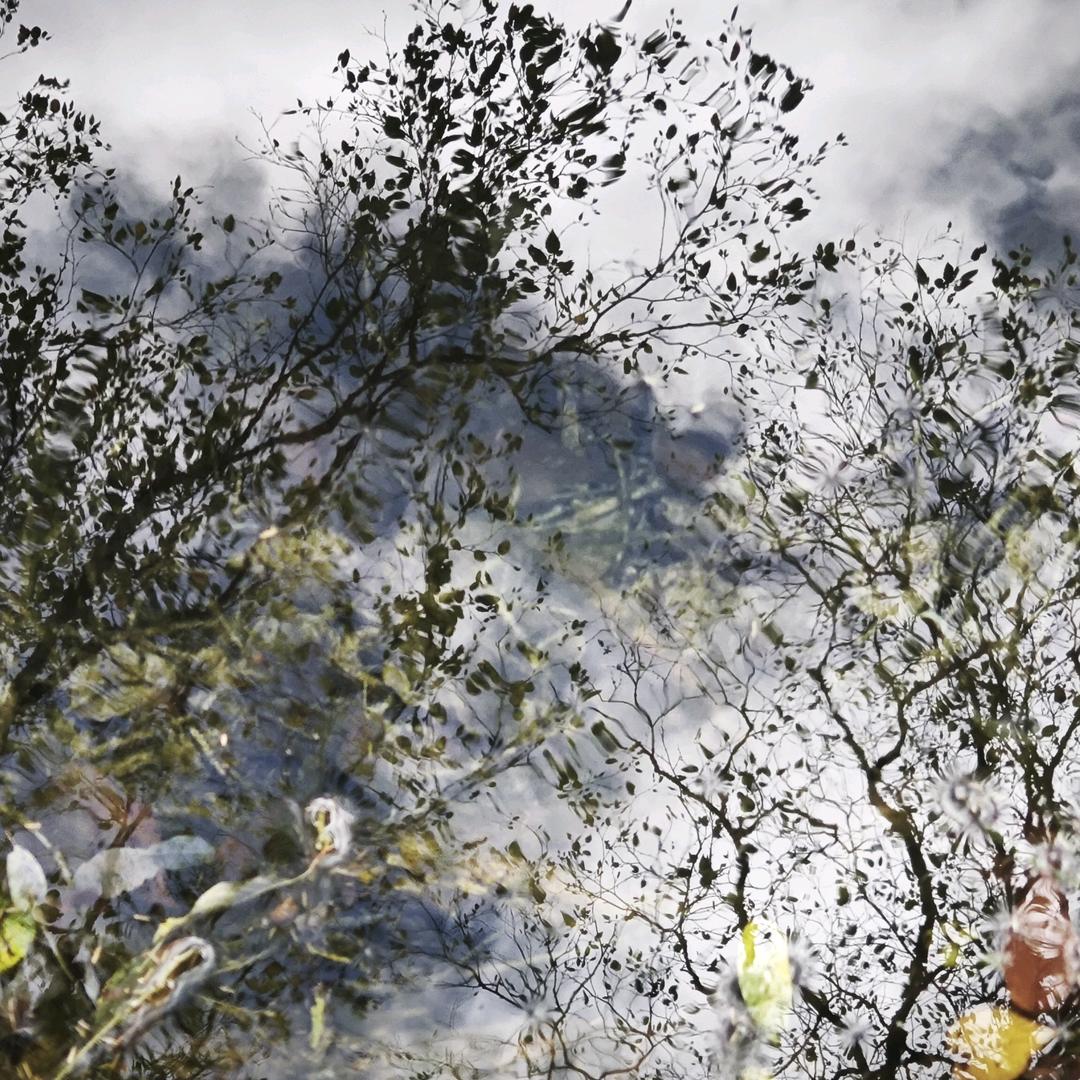 。。。。。。。