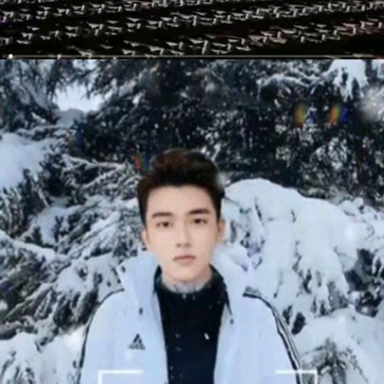 单身小哥哥的是要桃花运的