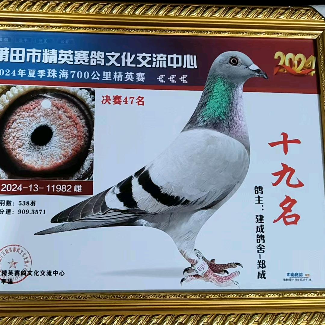 @ღ᭄ꦿ꯭林先生ℳ🥀