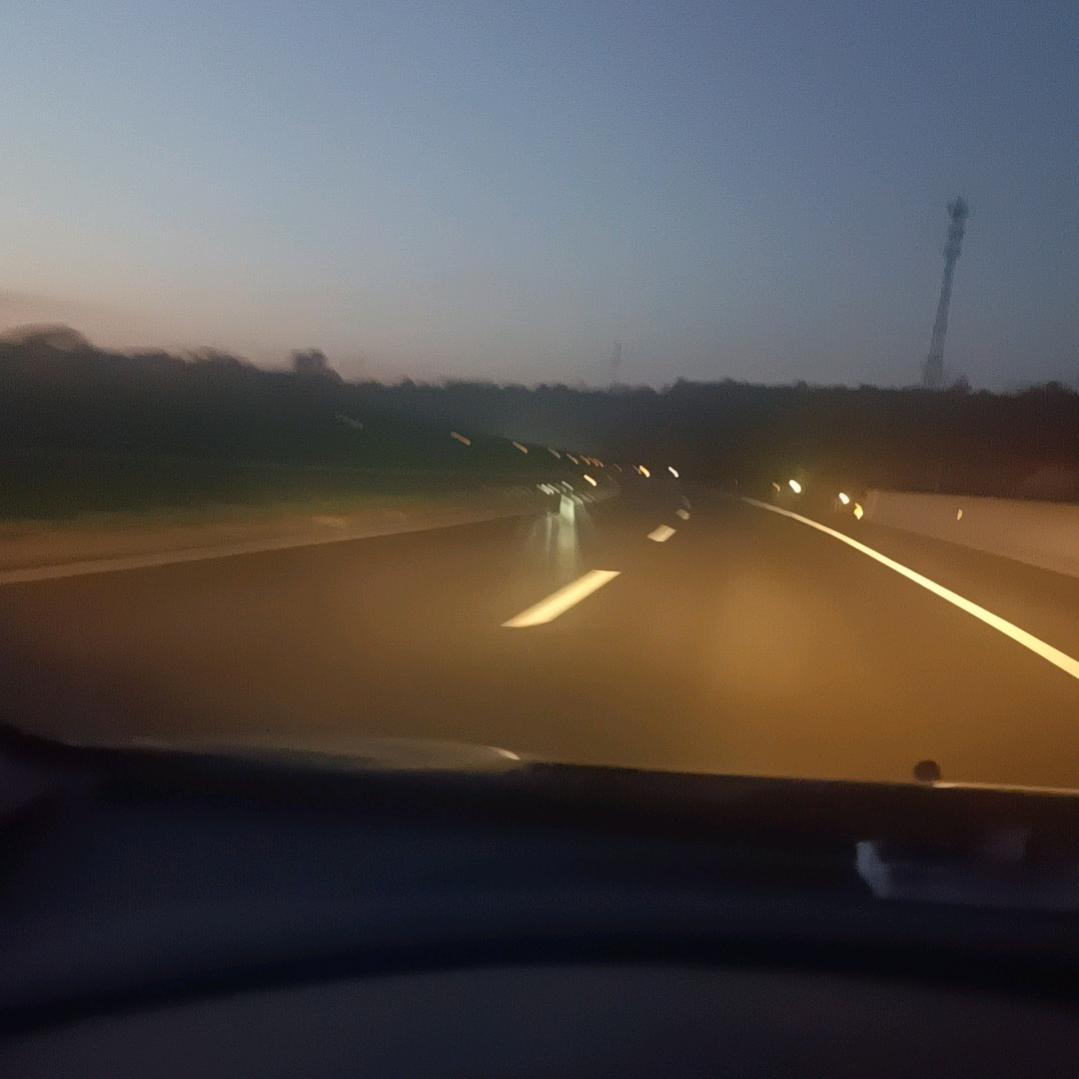 小黑子日常生活