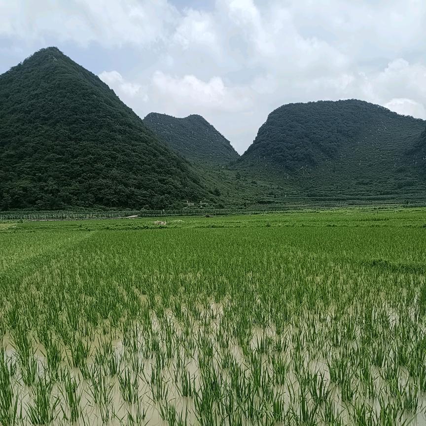 积极面对，情感生活꧔ꦿ᭄💞