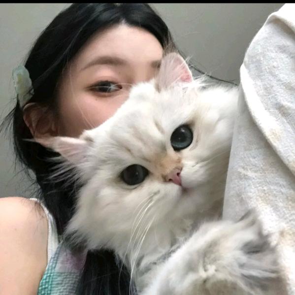 电信琳一一