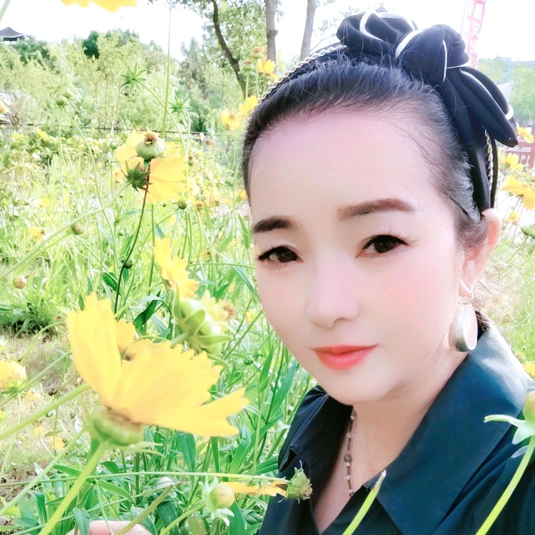 爱跳舞顺顺