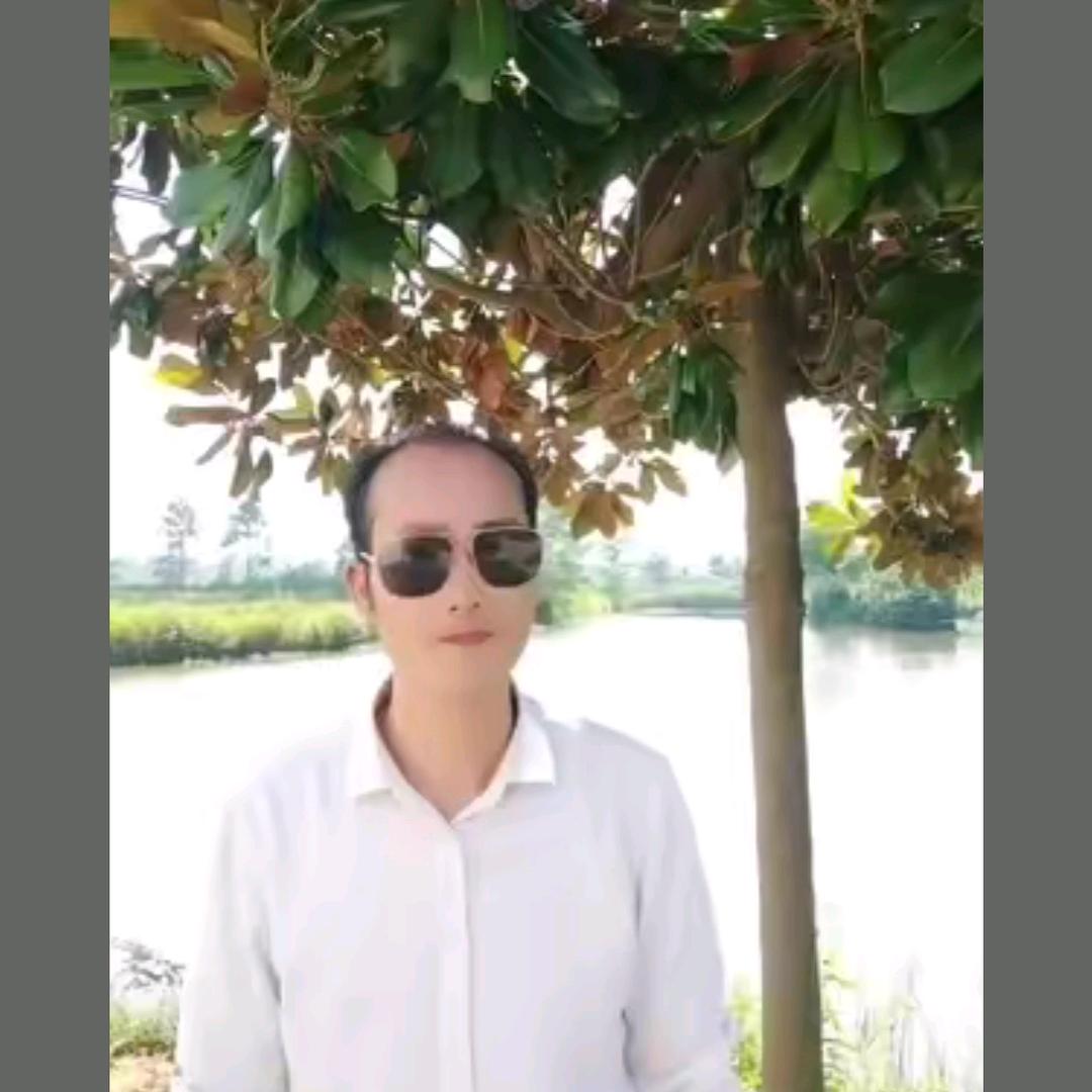 董油油