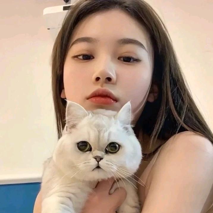渡