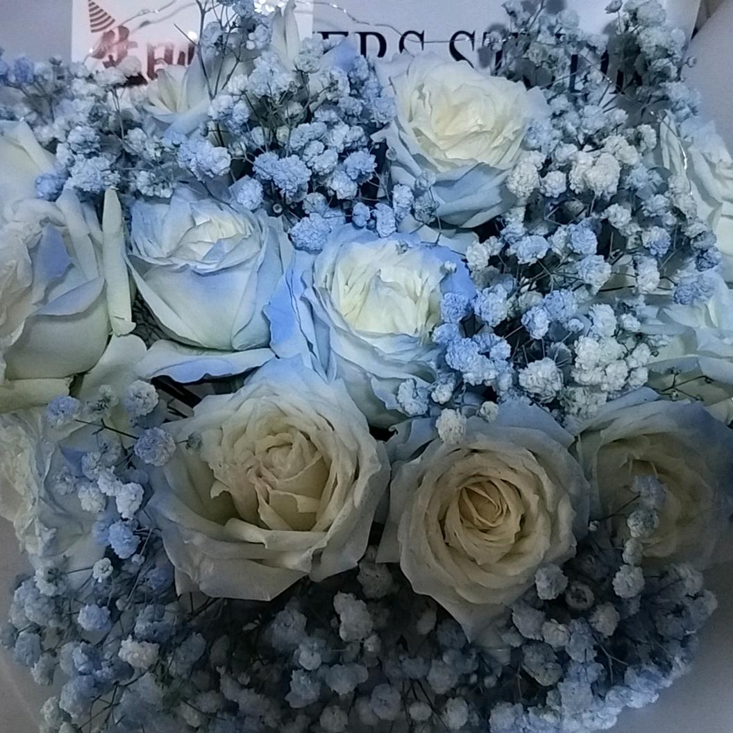 茫茫人海🌹🌹🌹