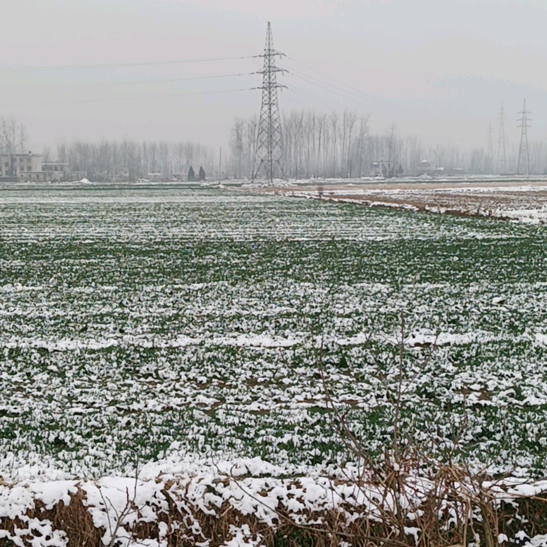 福气来至于善良