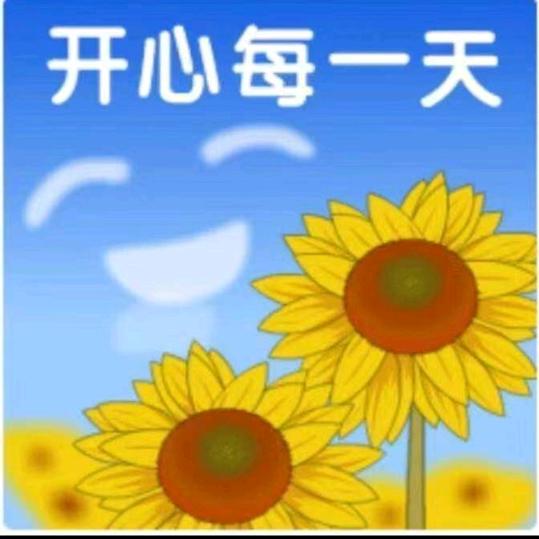 🌻开心就好🌻
