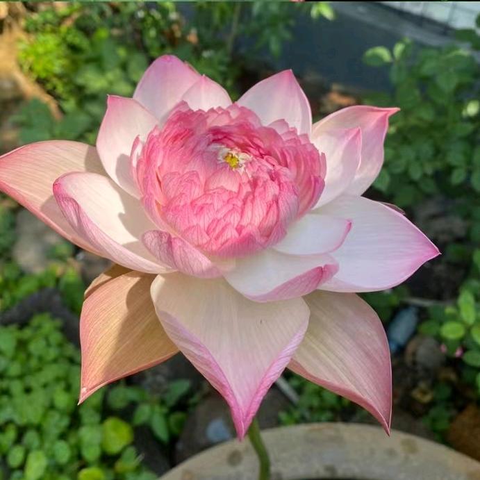 靠谁不如靠自己