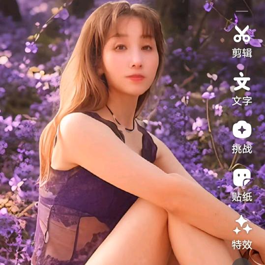 凤翔玫瑰