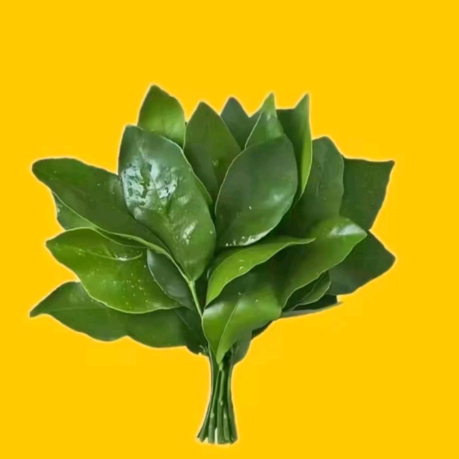এ᭄多财多亿ღ᭄🌸: 💕