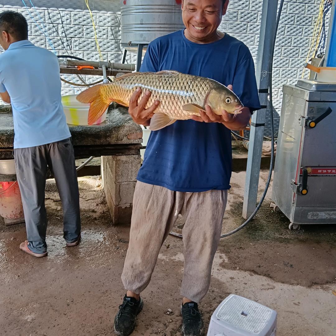 很美就是做我的老婆很美