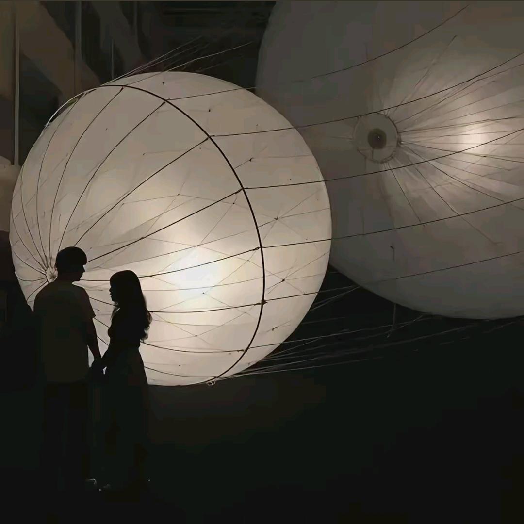 ✨ 柒夏（乐宝的小跟班）