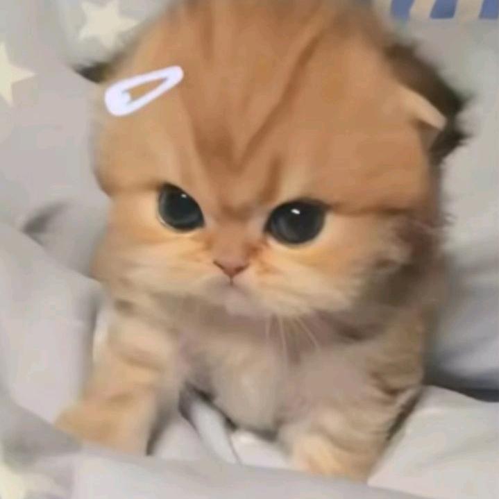 历男感恩