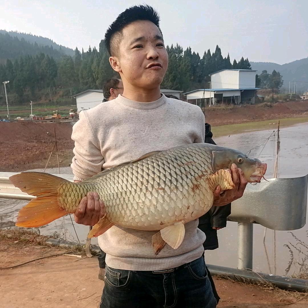 遂宁随心野钓塘