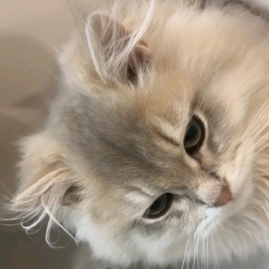 小眠