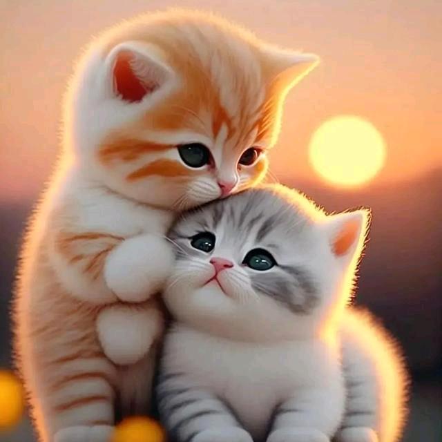 等在原地（小小鸟）