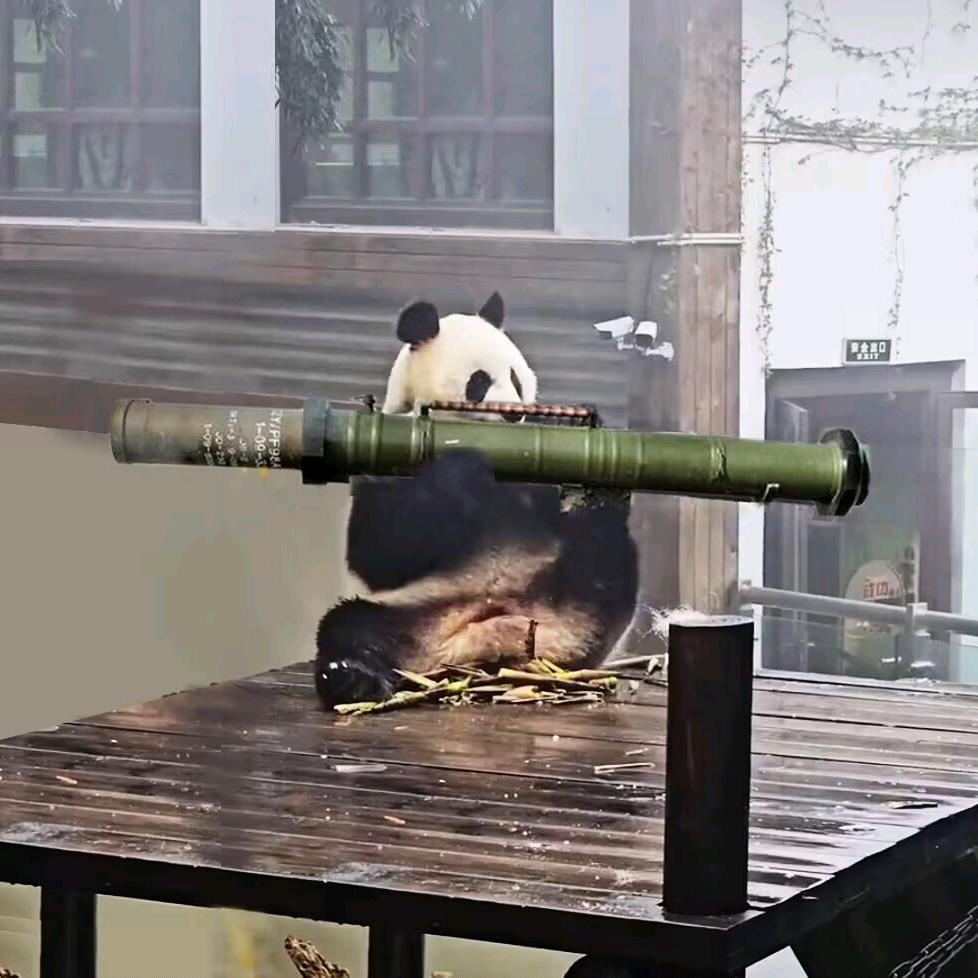 窗連啦~