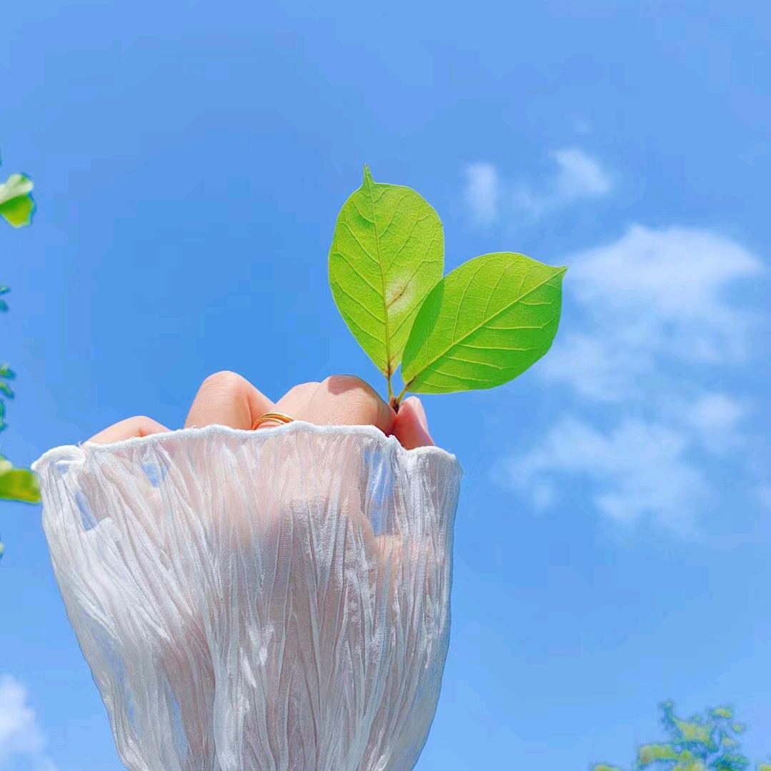 姓刘呀🌱
