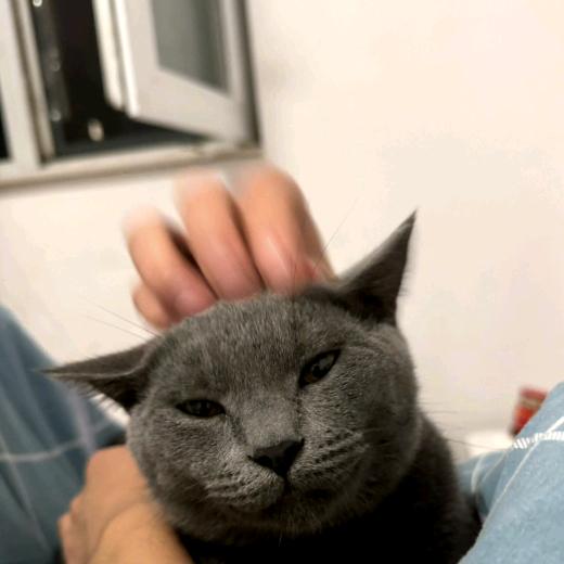 嘤嘤嘤