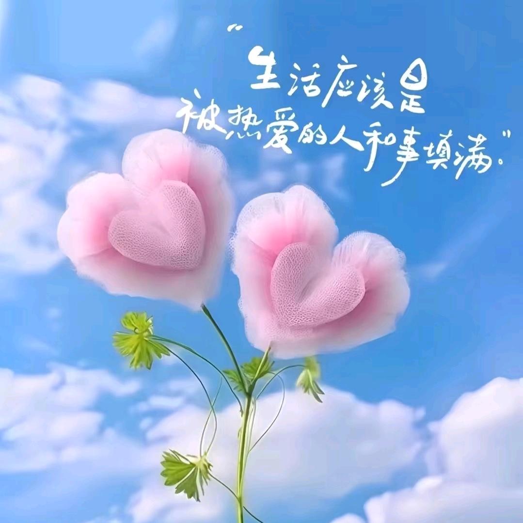 赫柏星空酒店-五江碧桂园店