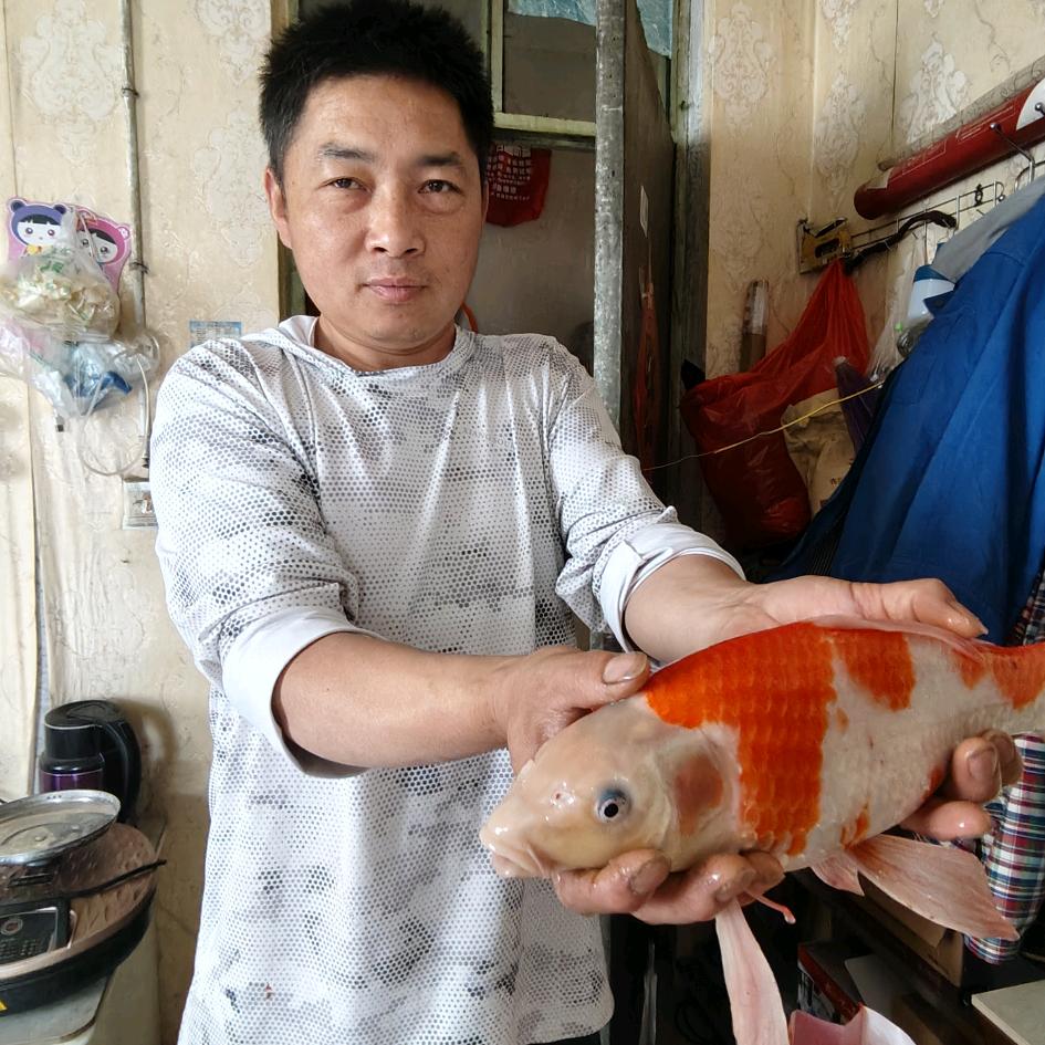 隆哥在钓鱼
