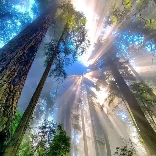 晨曦奶奶