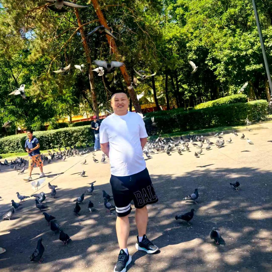 哥只加油-是柴油