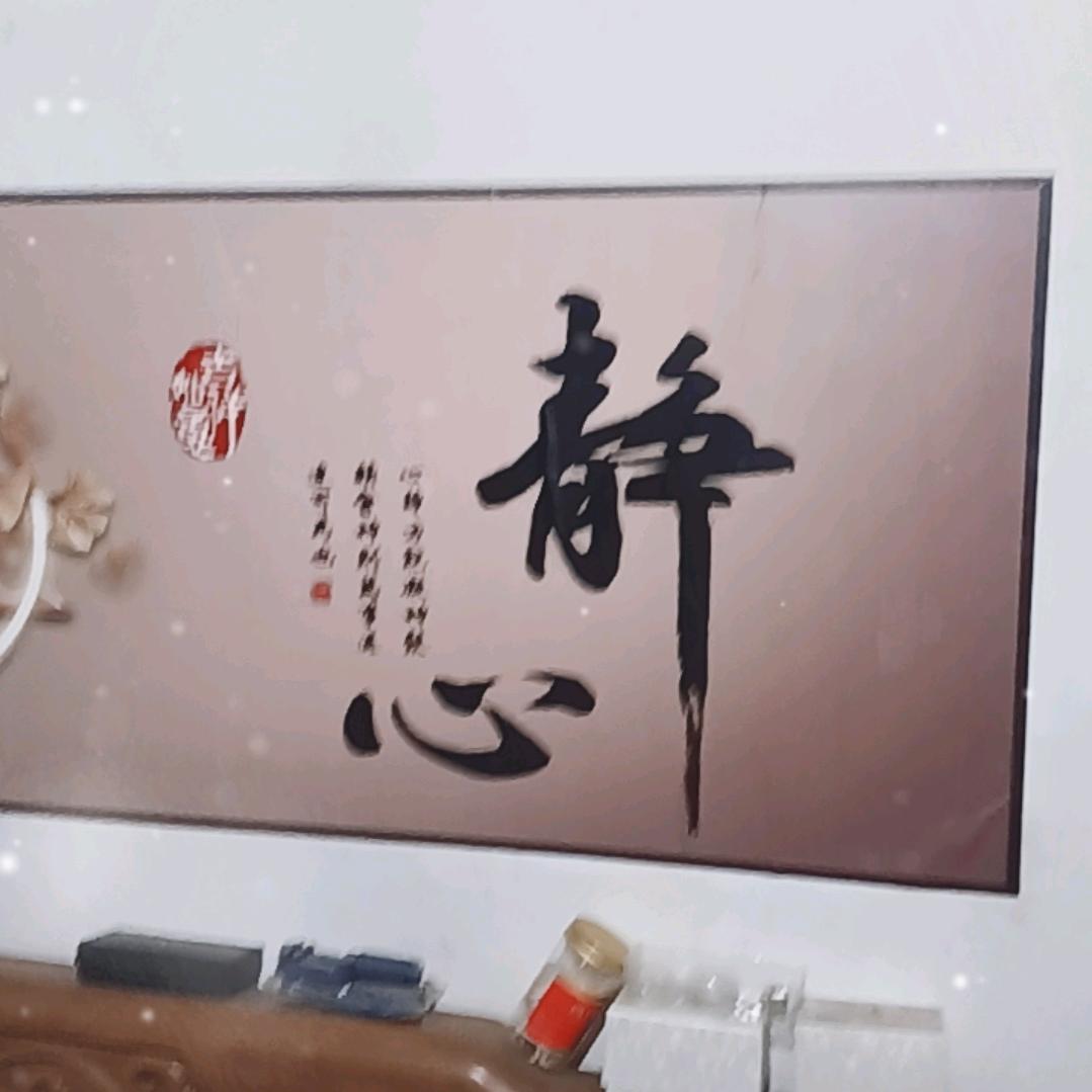 翱翔