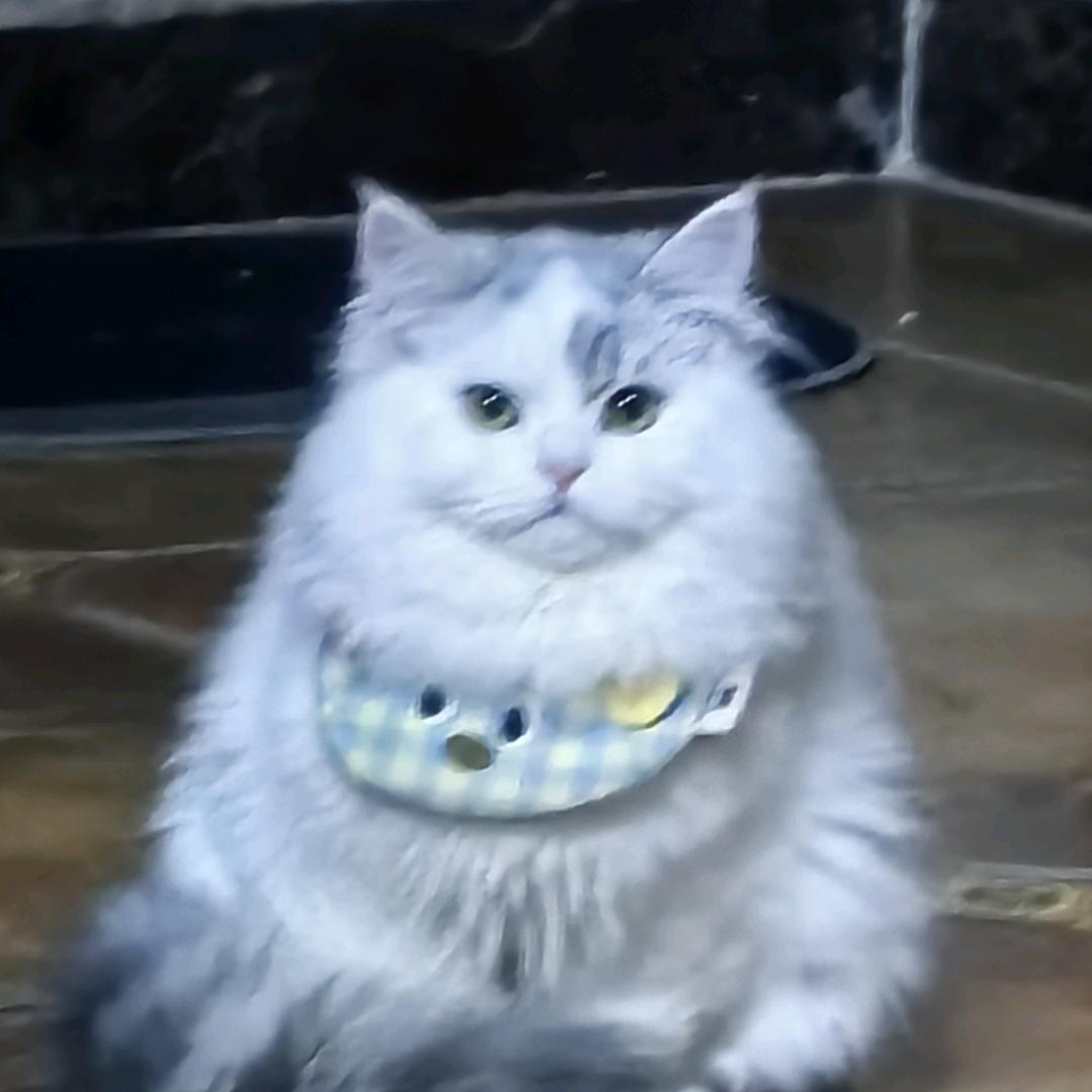 汉老汉