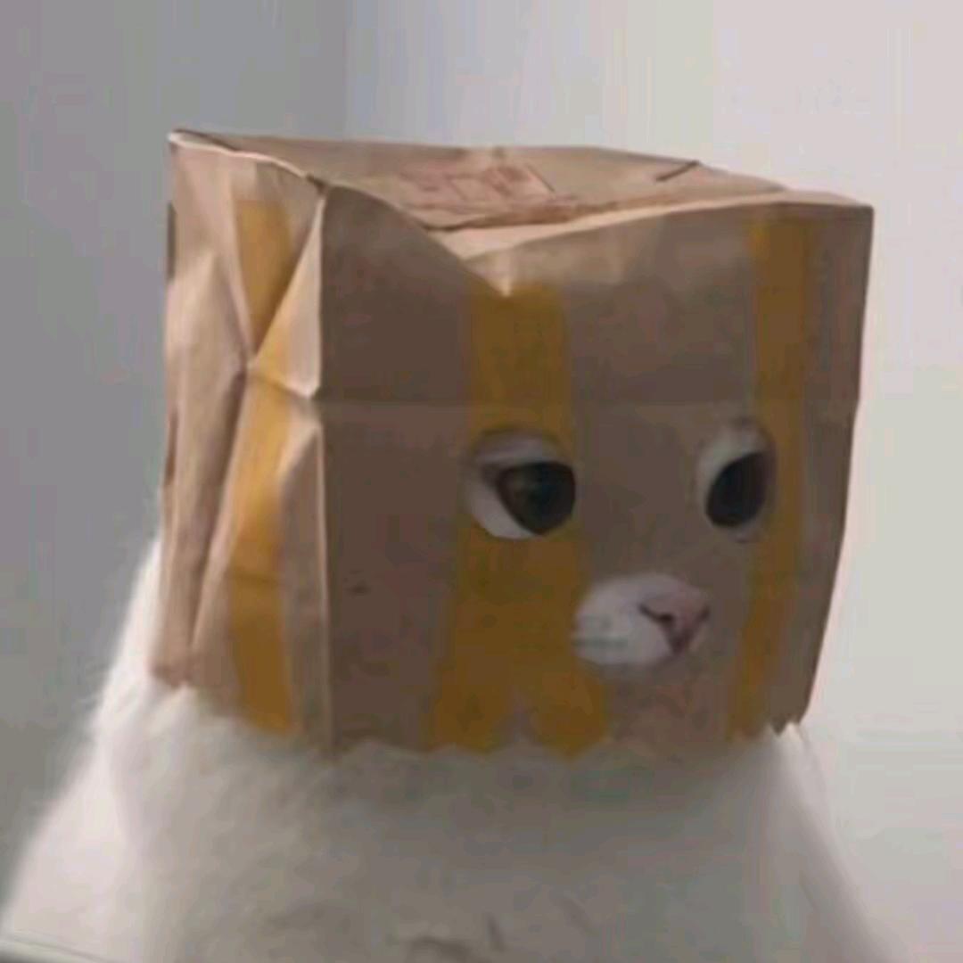 绅士熊