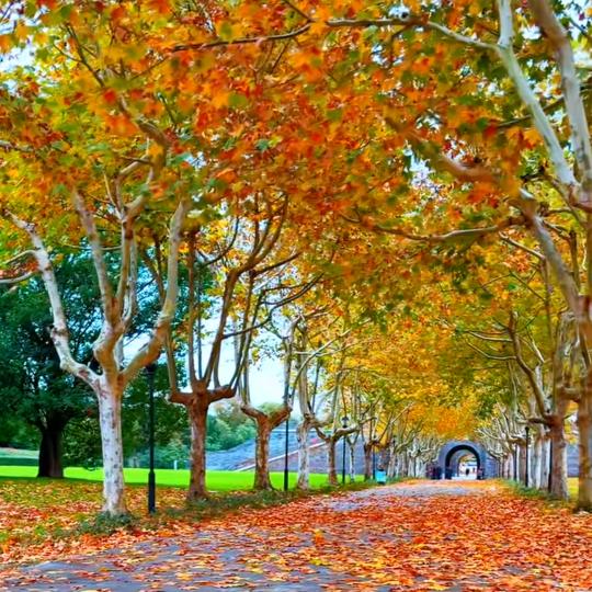 漫步……人生路，@小徐@