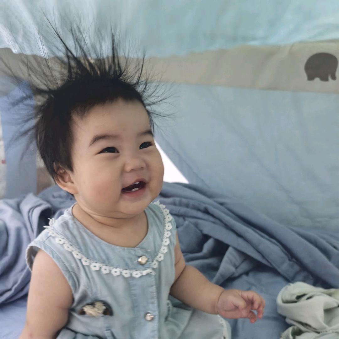 炸毛的丢