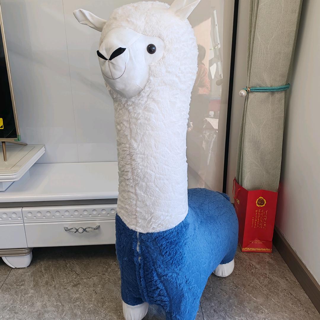 骑上毛驴上高速