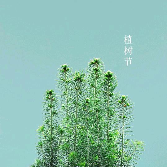 陇南平安