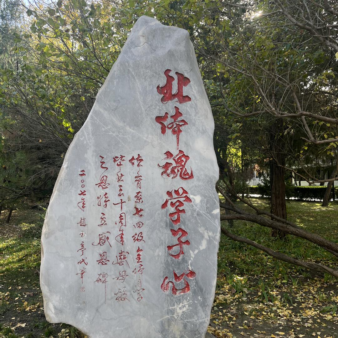 王家军（田径训练营）