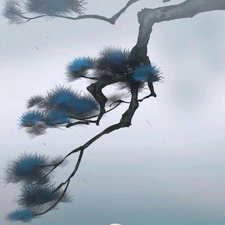 濮阳县星宿商贸
