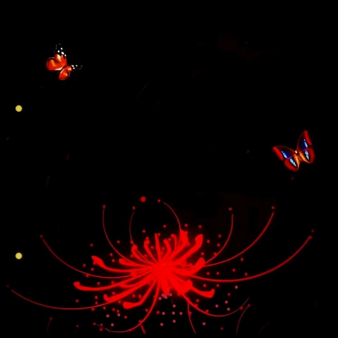 ℒℴѵℯ❤️ 🕊ꦿ辰᭄幻ꦿ໊ོ࿐