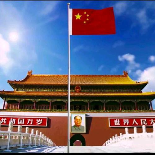 山西凉皮光头哥大号