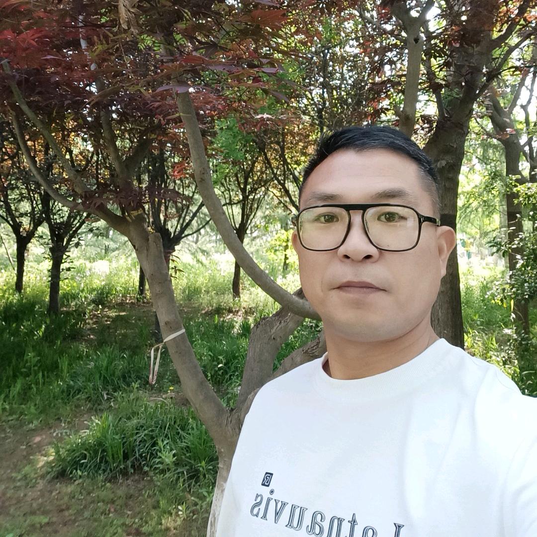 俺是老七