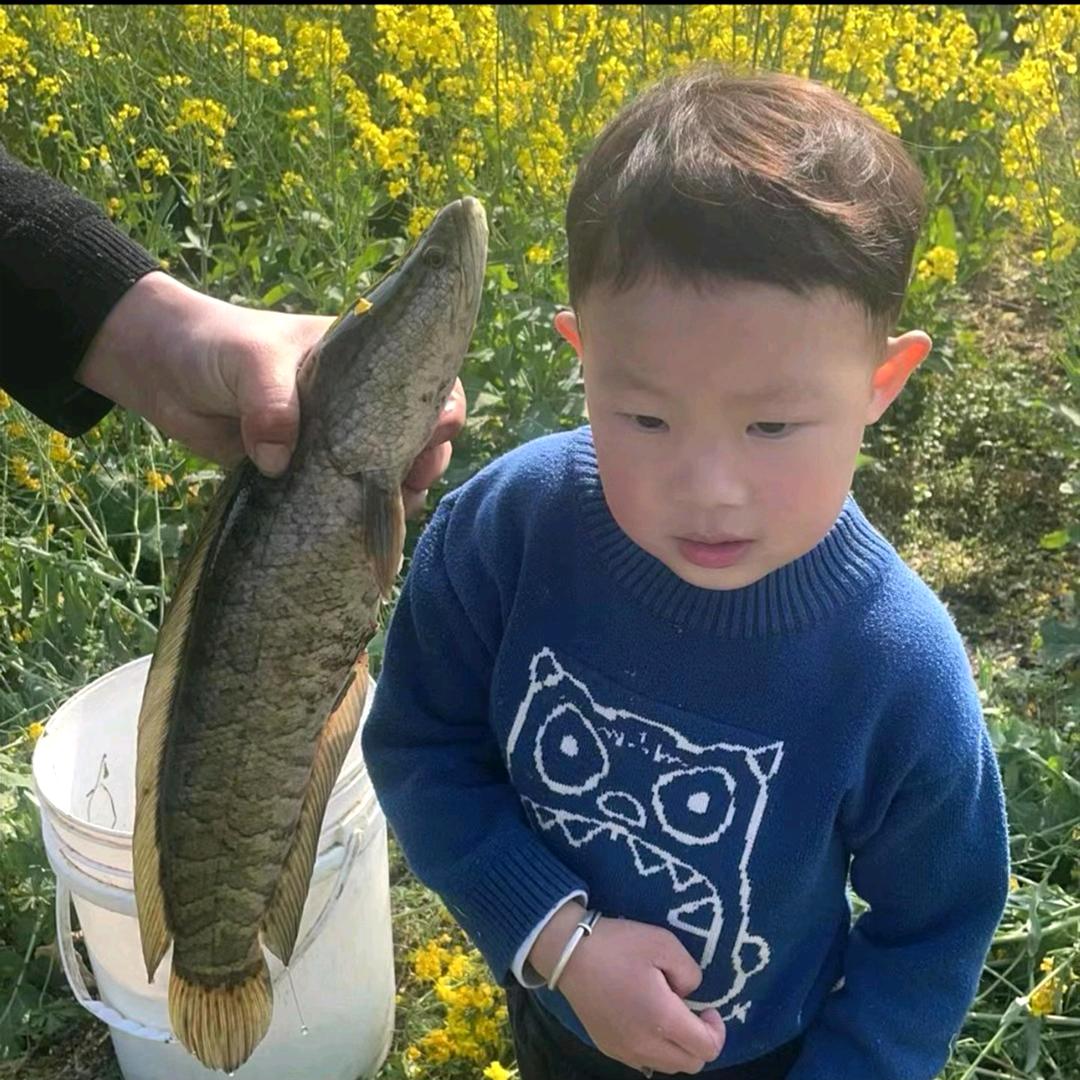 高邮鱼探马大吹🎣🐟