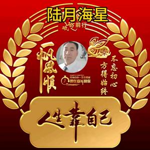 陆月海星