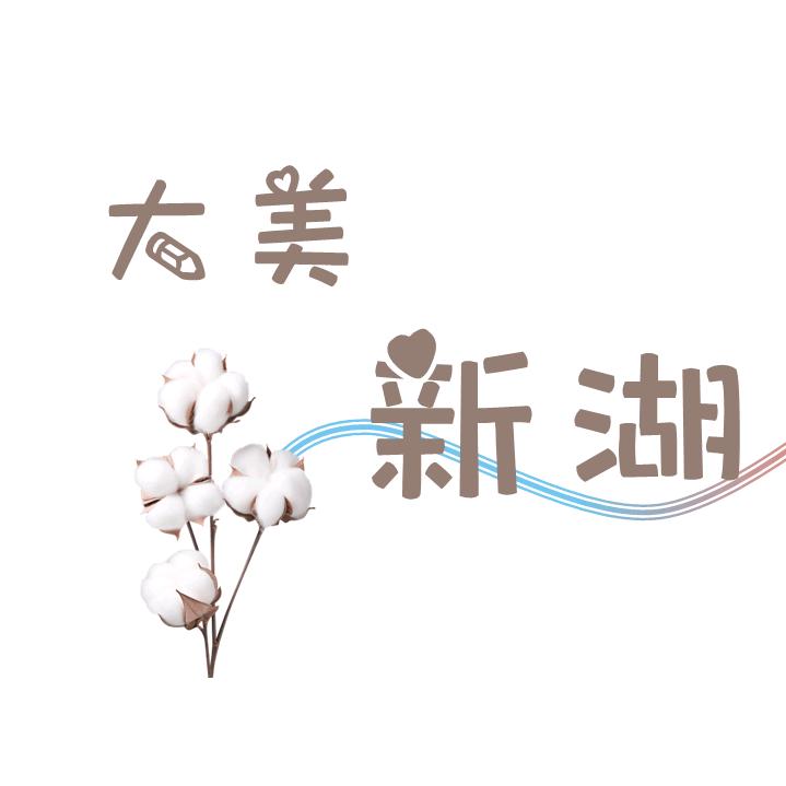 大美新湖