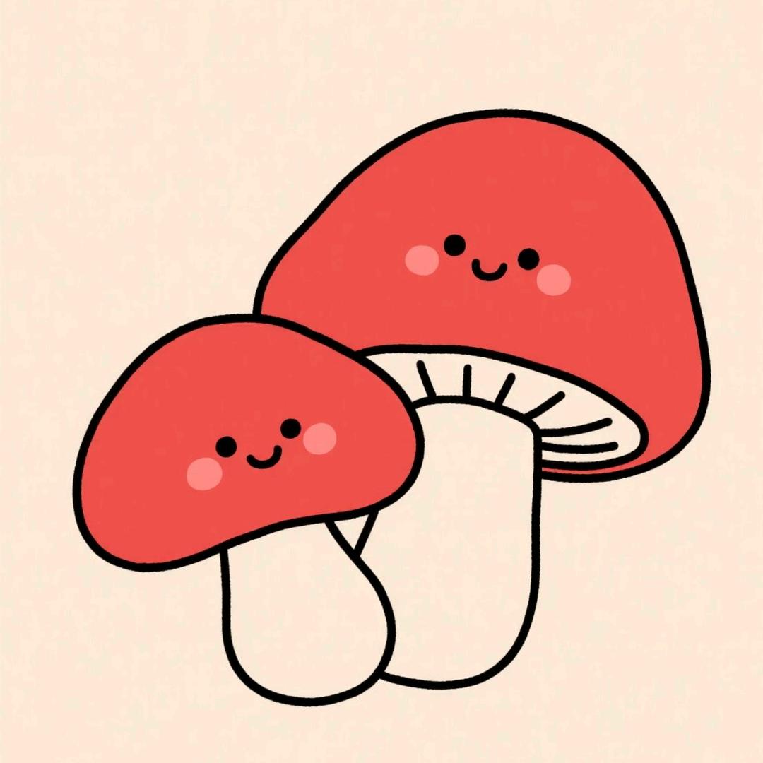 红伞伞