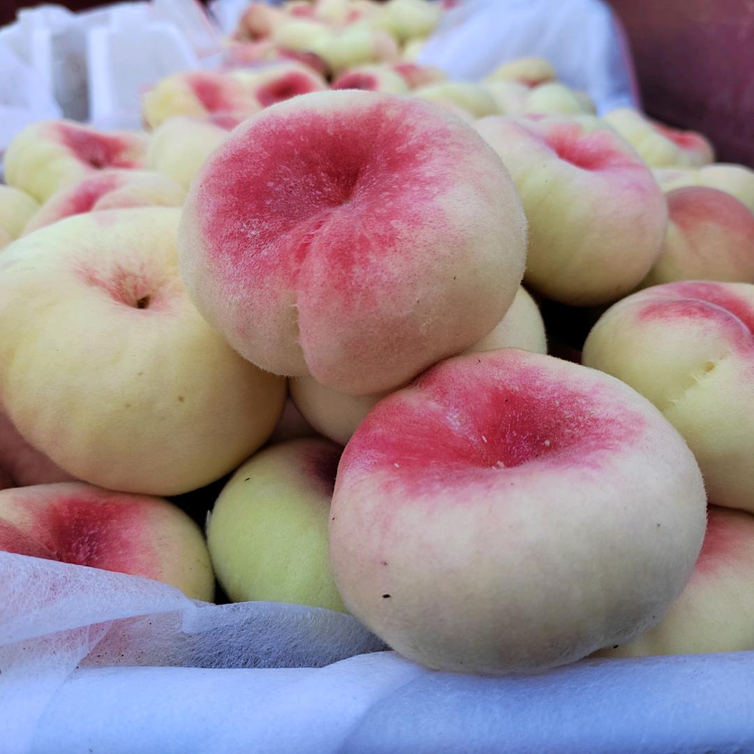 蒙阴驻村第一书记